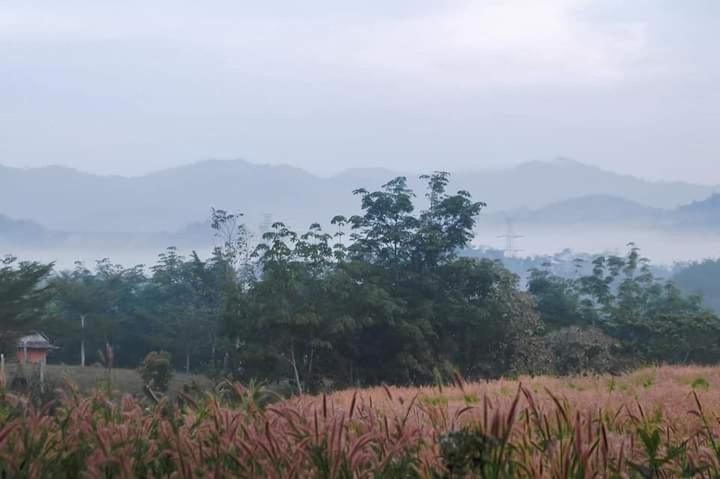 ภูริรักษ์ โฮมสเตย์ Ban Pha Saeng Lang Экстерьер фото